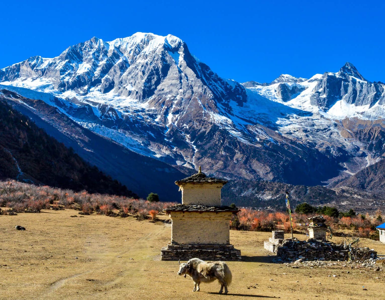 Best Trekking in Nepal - 15 Top Treks in the Himalayas