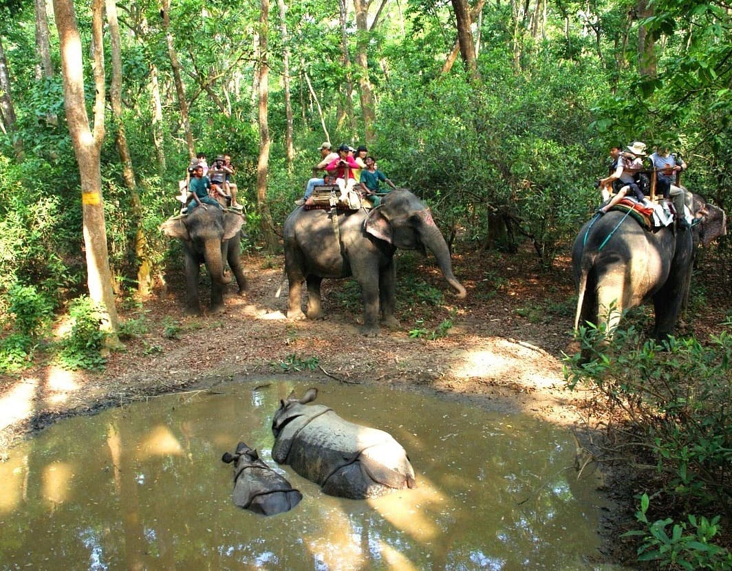 Wild-Life Adventures in Nepal