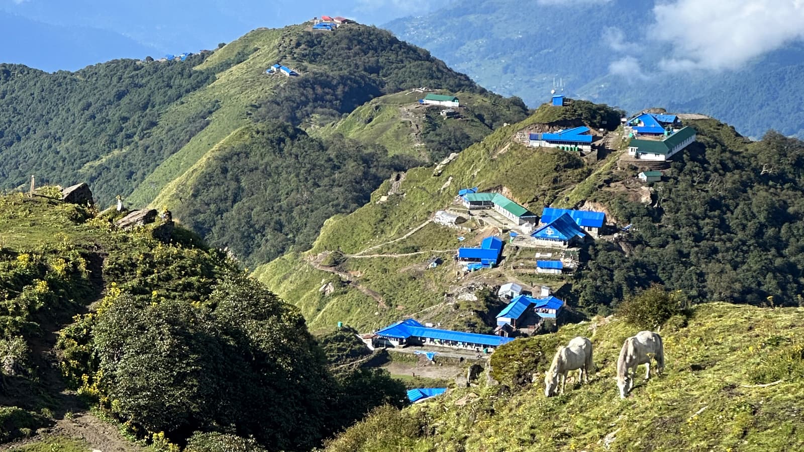 Mardi Himal trail