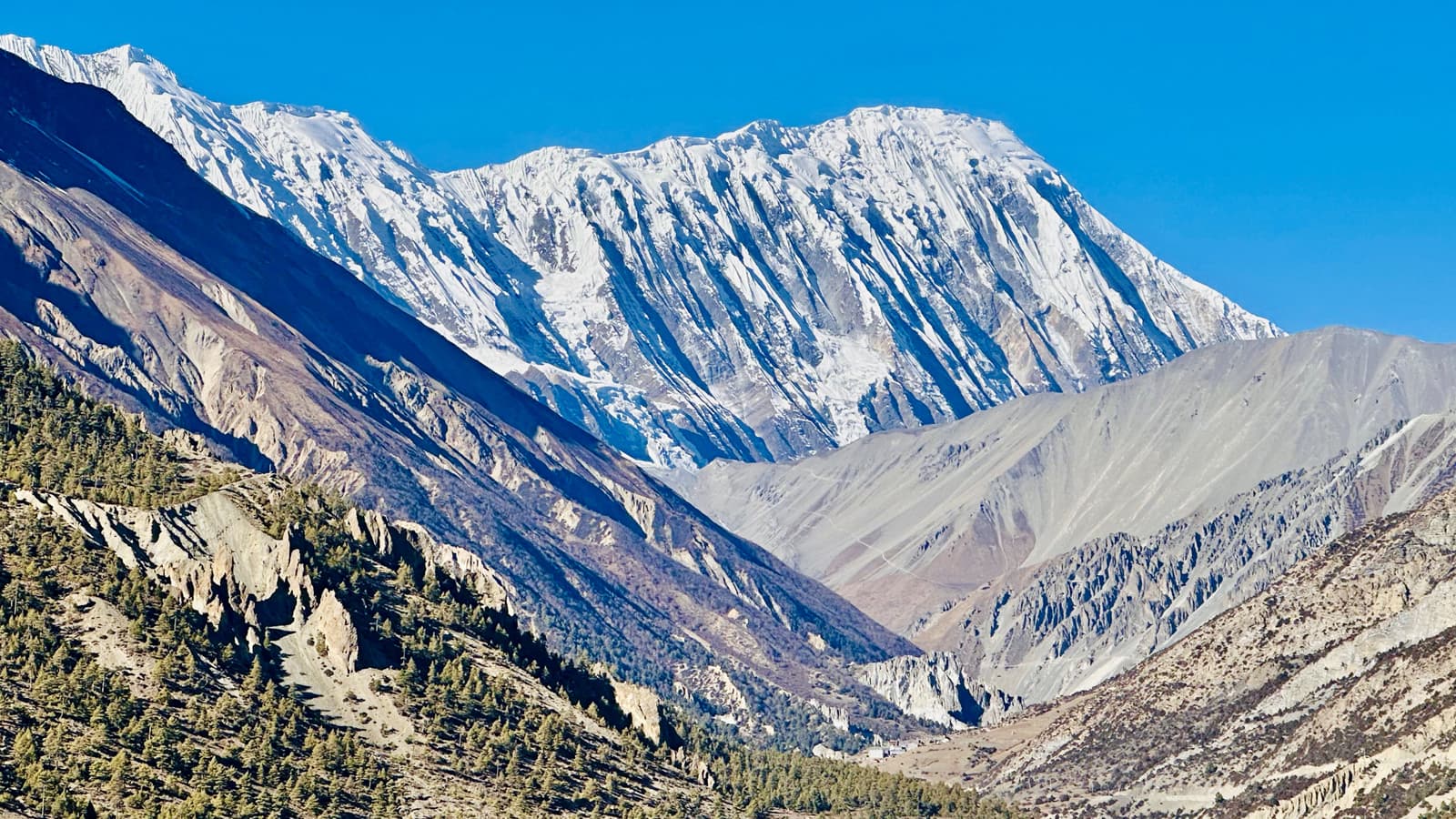 Annapurna Circuit Trek