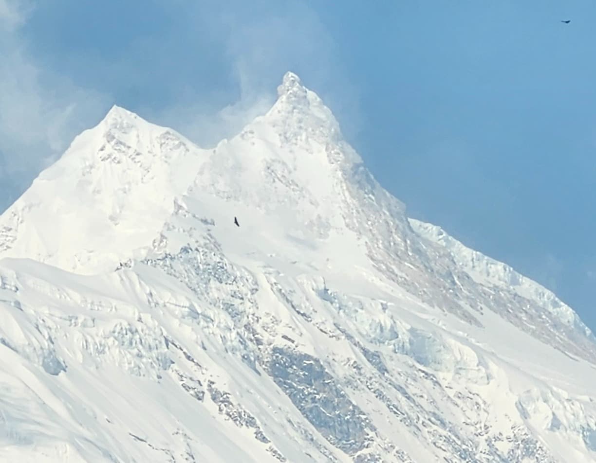 Manaslu Trek Permits 2025/26 | Costs & Rules How to Make