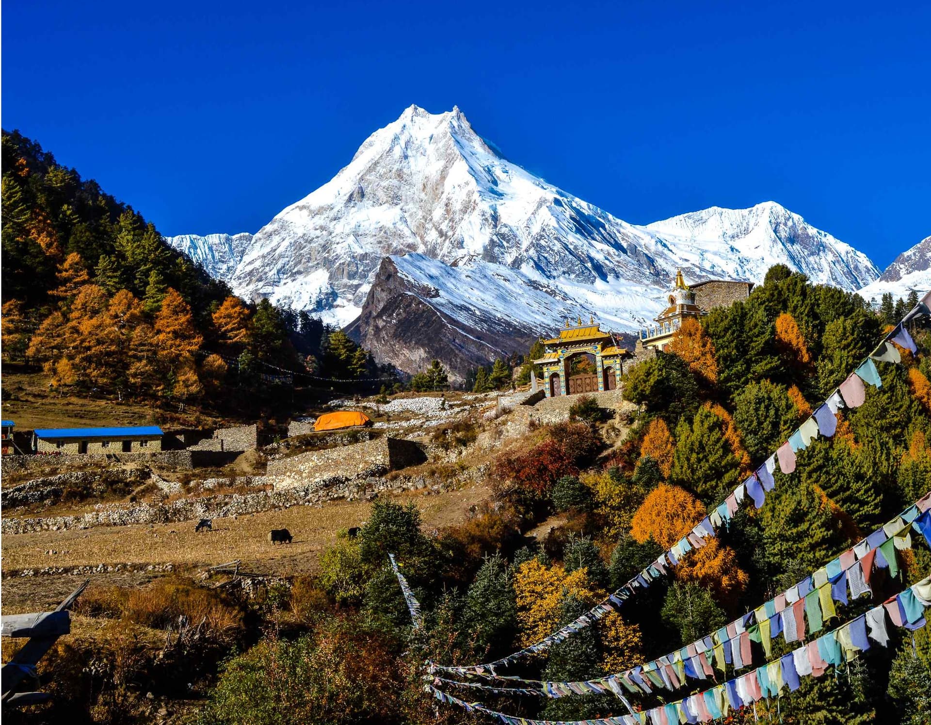 Top 10 Reasons to Choose Manaslu Circuit Trek